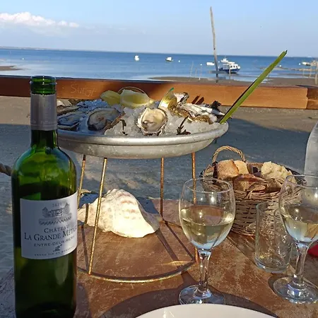 Campsite - Cap Ferret *