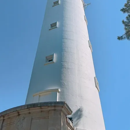 营地 - Cap Ferret Lège-Cap-Ferret